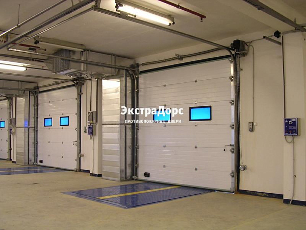 Подъемные автоматические противопожарные ворота с окнами в Ивантеевке  купить