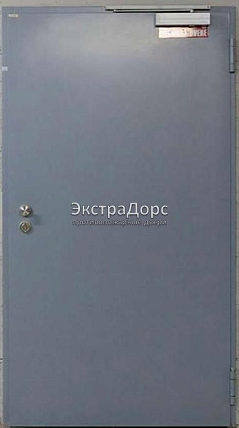 Противопожарная дверь однопольная дымогазонепроницаемая металлик в Ивантеевке  купить