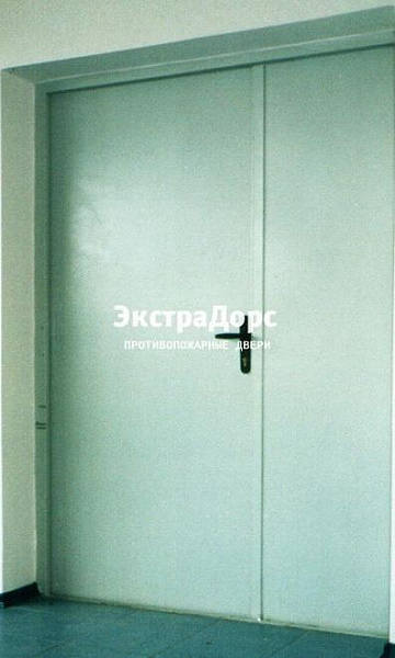 Противопожарная дверь двупольная белая без порога в Ивантеевке  купить