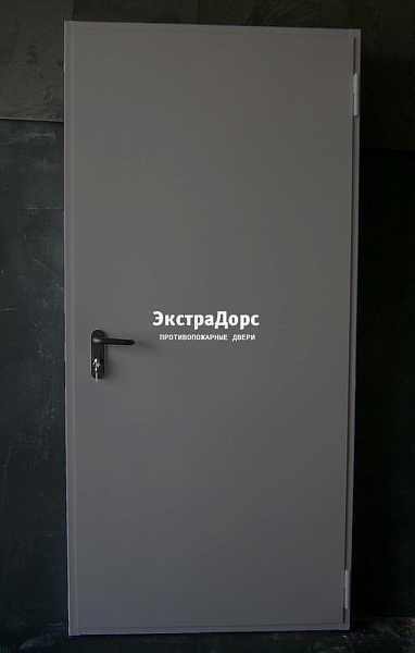 Дверь металлическая противопожарная EI 60 ДПМ 2 типа серая в Ивантеевке  купить